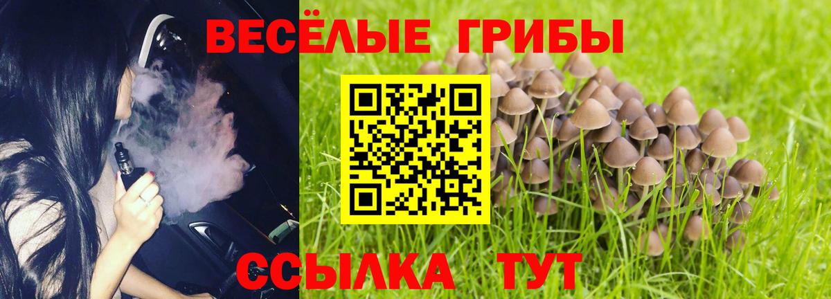 Кемерово  Псилоцибиновые грибы прущие грибы  Вход с VPN 